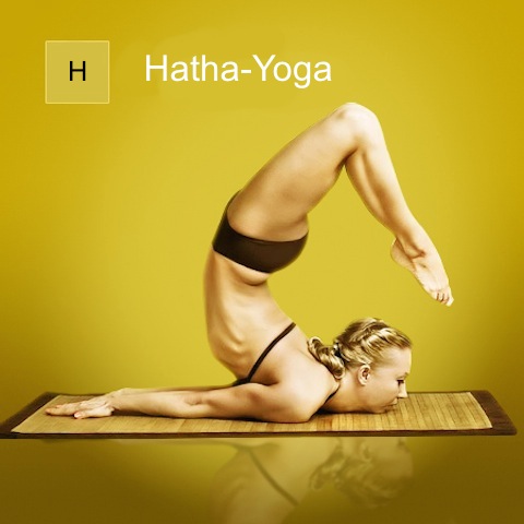 hatha-yoga-class-FR
